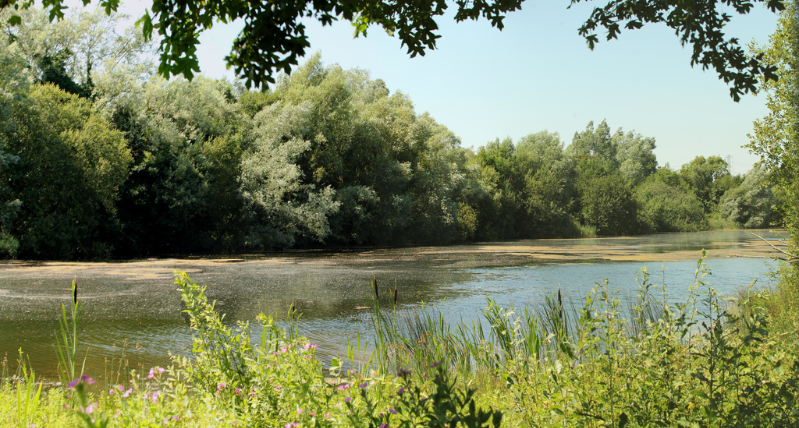 Lower Moor Lake